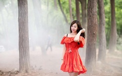 老司机精品在线